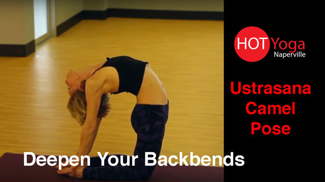 Bikram Yoga Pose Sequence | Visual.ly